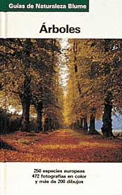 Árboles