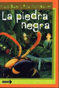 La piedra negra