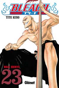 Bleach 23. Mala suerte!