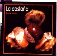 La castaña