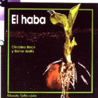 El haba
