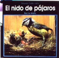 El nido de los pájaros
