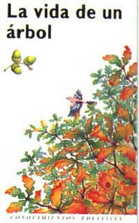 La vida de un árbol