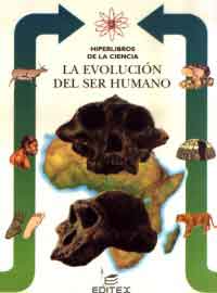 La evolución del ser humano