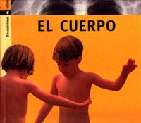 El cuerpo