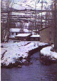 Nina y Tina se divierten en la nieve