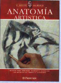 Anatomía artística