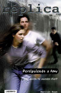 Persiguiendo a Amy