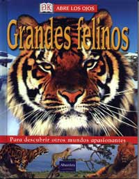 Grandes felinos
