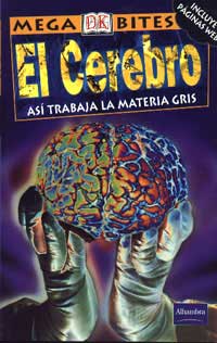 El cerebro, así trabaja la materia gris