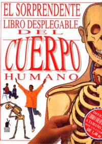 El sorprendente libro desplegable del cuerpo humano : un divertido libro desplegable a tamaño real. Soy un cuerpo de 1,40 cm.