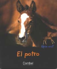 El potro