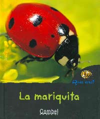 La mariquita