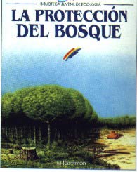 La protección del bosque