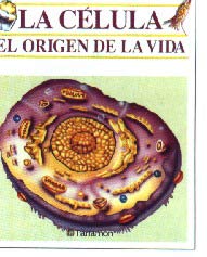 La célula, el origen de la vida
