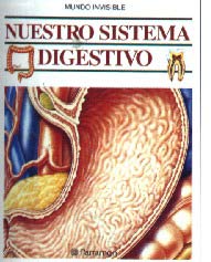 Nuestro sistema digestivo