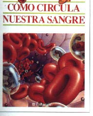 Cómo circula nuestra sangre