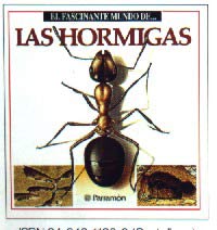 Las hormigas