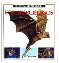 Los murciélagos