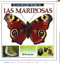 Las mariposas