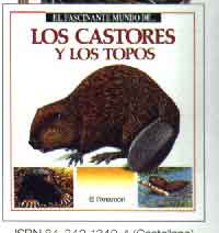 Los castores y los topos