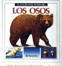 Los osos