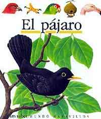 El pájaro