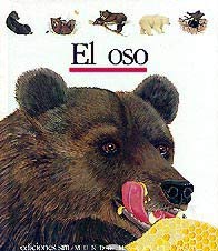 El oso